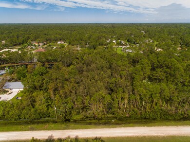 DJI_0081