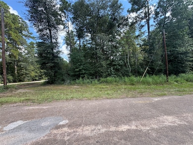 0 Mcrae Cir, Conroe, TX 77303 - photo 3