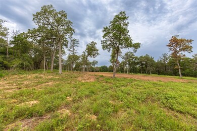 1126 Abel Rd, New Ulm, TX 78950 - photo 6