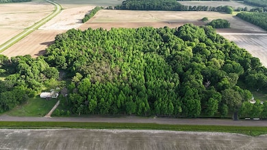 7245 Hood Rd, Marks, MS 38646 - photo 4