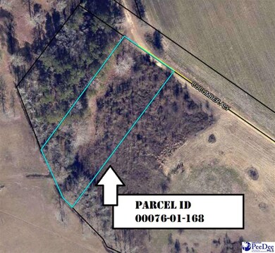 0 Cucumber Aly, Florence, SC 29501 - photo 2