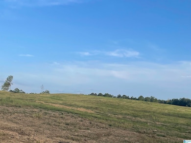 3679 Chelsea Rd, Columbiana, AL 35051 - photo 5