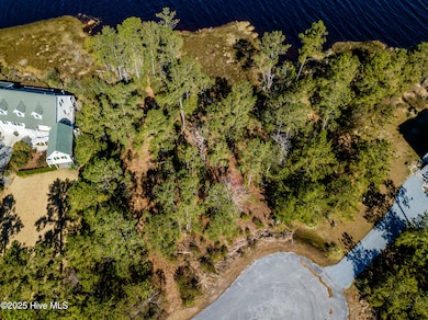 859 Winchester Way, Merritt, NC 28556 - photo 3