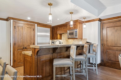 415 E Dean St Unit 36 Weeks 5 & 6, Aspen, CO 81611 - photo 7