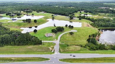 Lot 23 Gracies Way, Lucedale, MS 39452 - photo 4