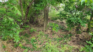 View of nature