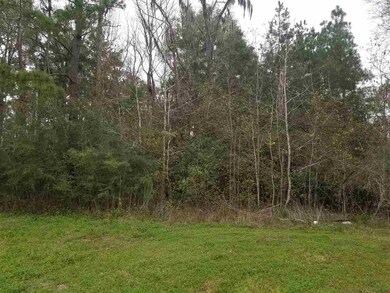 W Mahan Dr, Miccosukee, FL 32309 - photo 2