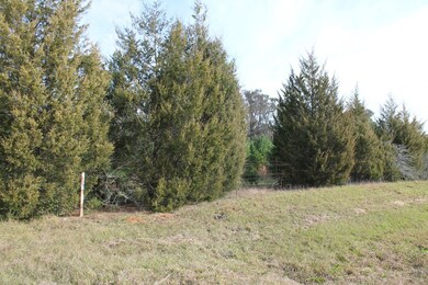 TBD U S 280 W, Americus, GA 31709 - photo 5