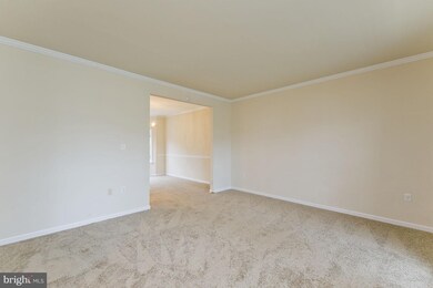 419 Lilys Way, Winchester, VA 22602 - photo 4