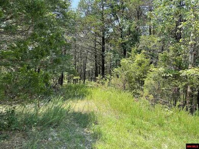 0 Lago Ln, Elizabeth, AR 72531 - photo 6