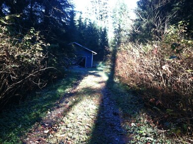 20025 Lake Riley Rd, Arlington, WA 98223 - photo 5