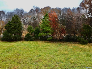 Tract 4 County Road 89, Anderson, AL 35610 - photo 5