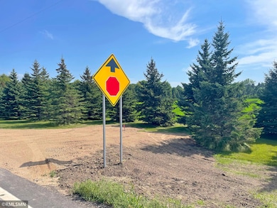 15XX3 60th St SW, Cokato, MN 55321 - photo 3