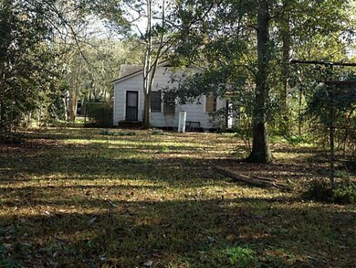 Photo. Back Yard