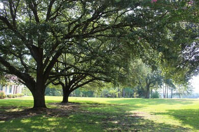 2760 Highway 84 E, Laurel, MS 39443 - photo 5