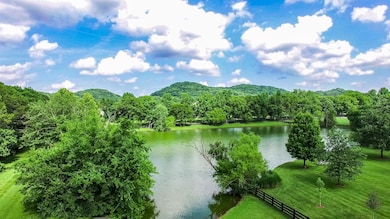 2451 Hidden River Ln, Franklin, TN 37069 - photo 5