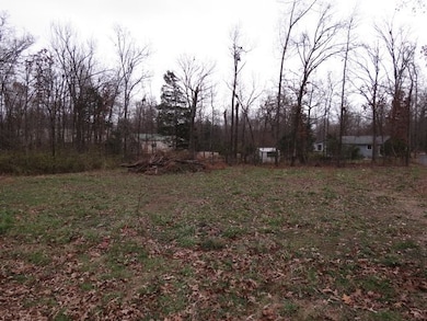 00 Maple Ave, Bull Shoals, AR 72619 - photo 4