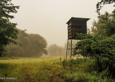 Castens Creek Pics-17