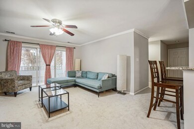 7717 Lafayette Forest Dr unit 12, Annandale, VA 22003 - photo 6