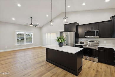 5930 Snapps Ferry Rd unit Lot 3, Afton, TN 37616 - photo 5