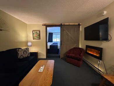 2955 White Mountain Hwy unit 225 (E47), North Conway, NH 03860 - photo 6