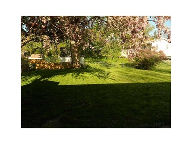 Yard.