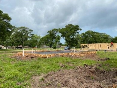 2565 County Road 769c, Brazoria, TX 77422 - photo 2