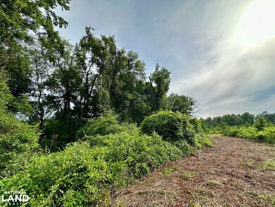 0 Bennett Colter Rd unit 25767774, Rentz, GA 31075 - photo 5