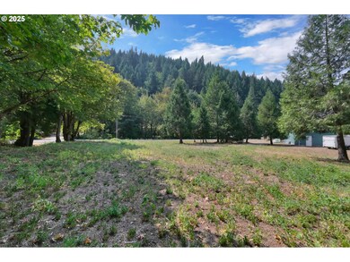 0 Westfir-Oakridge Rd unit 141779874, Westfir, OR 97492 - photo 5