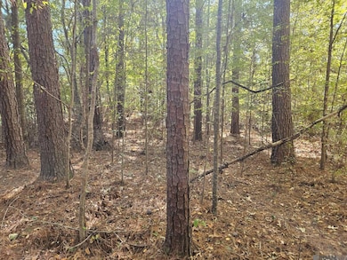 TBD Tunica Trace, Saint Francisville, LA 70775 - photo 3