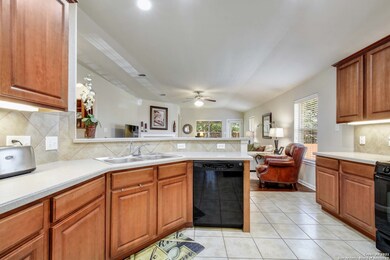 25610 Coral Vine, San Antonio, TX 78261 - photo 7