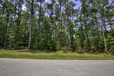 Lot 3 Greenway Dr, Jacksonville, NC 28546 - photo 5
