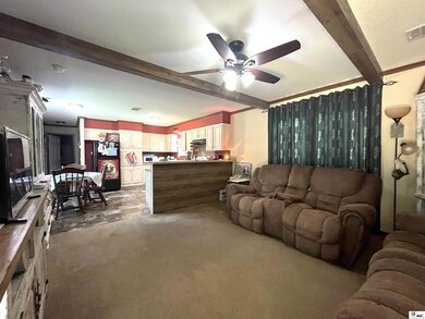 242 Whisenant Rd, Winnfield, LA 71483 - photo 4