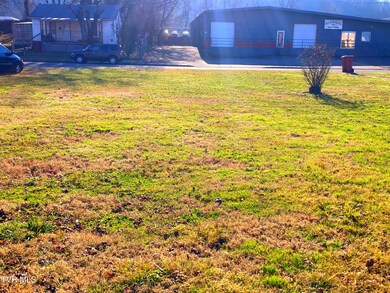 1411 E Millard St, Johnson City, TN 37601 - photo 3