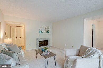 2210 Springwood Dr unit 107, Reston, VA 20191 - photo 5