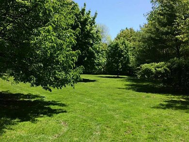 Yard/Garden.
