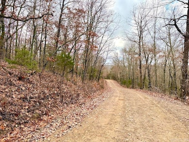 0 Cr 961 Rd unit 25047250, Green Forest, AR 72638 - photo 6