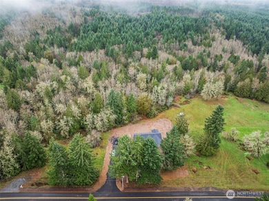 960 Paine Rd, Castle Rock, WA 98611 - photo 6