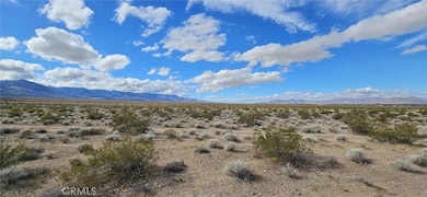 800 Donaldson Rd, Lucerne Valley, CA 92356 - photo 4