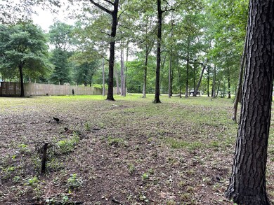 0 County Road 3750 N, Cleveland, TX 77328 - photo 5