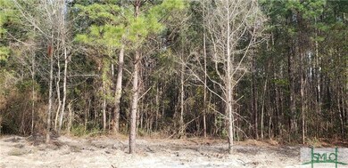 43 Hidden Creek Dr, Guyton, GA 31312 - photo 5