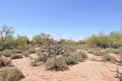 MiddleofLot