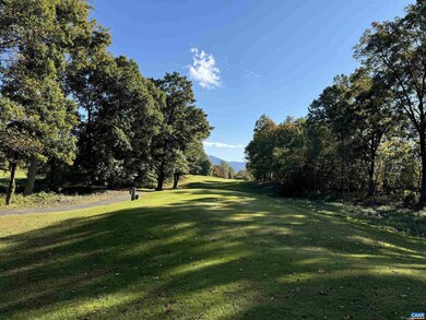 18 Black Walnut Ln unit 1-H B3, Nellysford, VA 22958 - photo 5