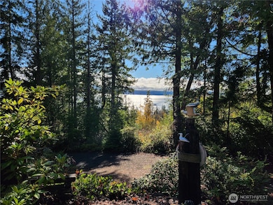 222 Towhee Ln, Brinnon, WA 98320 - photo 3