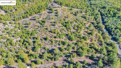 00 Jackass Creek Rd, Groveland, CA 95321 - photo 5