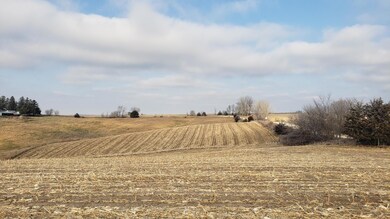 TBD Aurora Rd, Preble Township, MN 55954 - photo 6