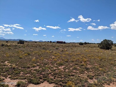 2515 E Wingfield Rd, Valle, AZ 86046 - photo 3