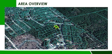 Moon Mist Dr, Trinity, TX 75862 - photo 5