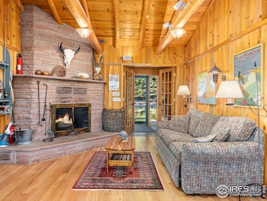 747 Coyote Hill Rd, Allenspark, CO 80510 - photo 5