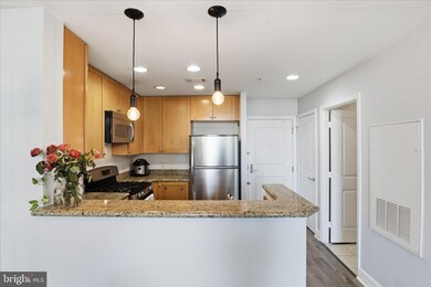 The Eclipse unit 815W, Arlington, VA 22202 - photo 7